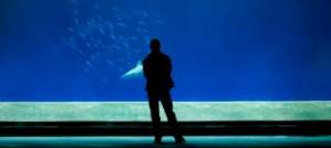 An interview with an aquarist,