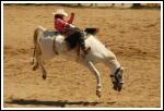 The Williams Lake Stampede