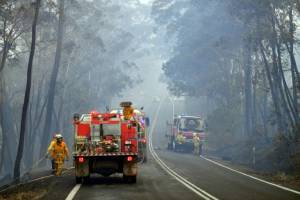 State of emergency declared as bushfires rage in Australia.jpg
