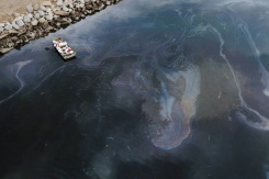 US Coast Guard probes anchor strike over California oil spill.jpg