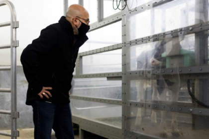 Kiwi boffins aim to clear the air on livestock emissions.jpg