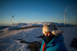 Lapland herders see red over turbines.jpg