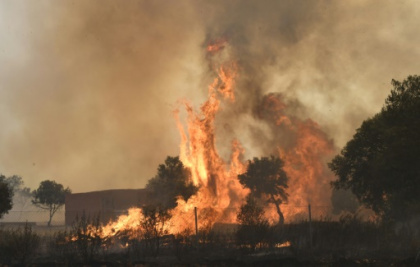 Europe burns as heatwave breaks temperature records.jpg