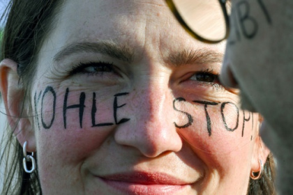 Climate activists take to the trees to save German village.jpg