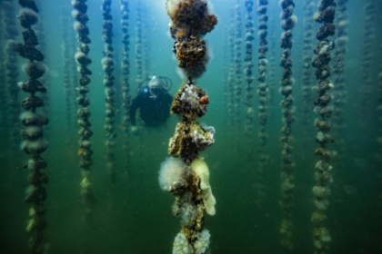 scientists explore ocean frontiers.jpg