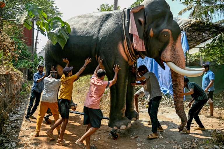 Model behaviour: India's anti-cruelty robot elephants