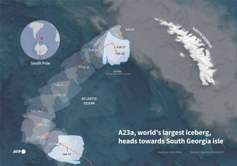 World's biggest iceberg runs aground, sparing wildlife haven island