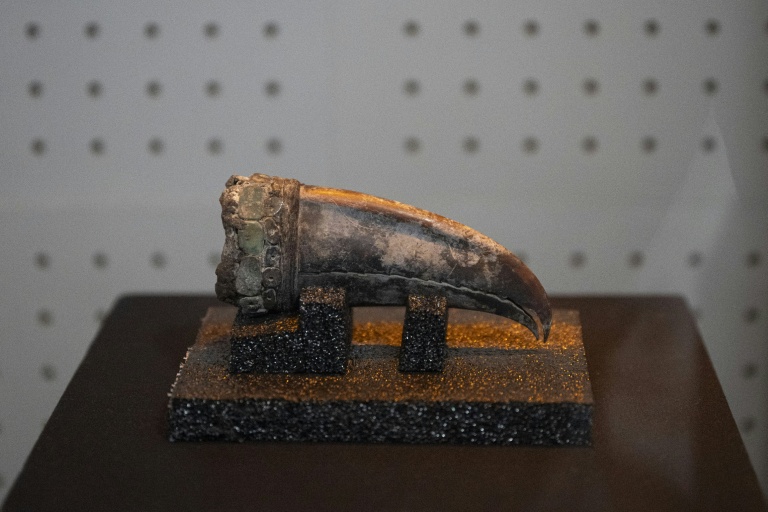 Remains of 5,000-year-old noblewoman found in Peru dig