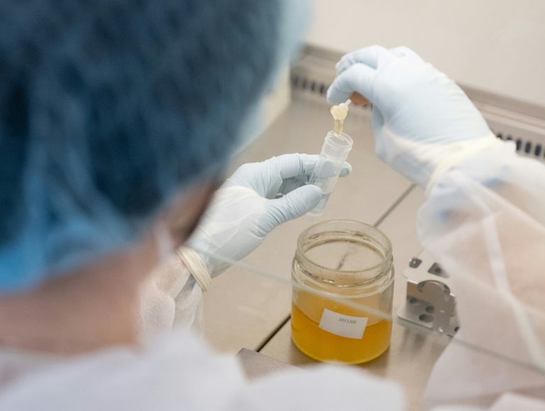 Austria trials DNA testing to uncover honey fraud