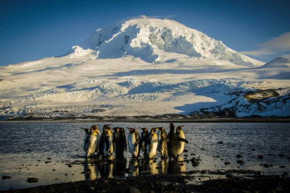 A waddle of King penguins, some of the only inhabitants of the Australian territory of Heard Island -- which is among those targeted by US President Donald Trump's tariffs