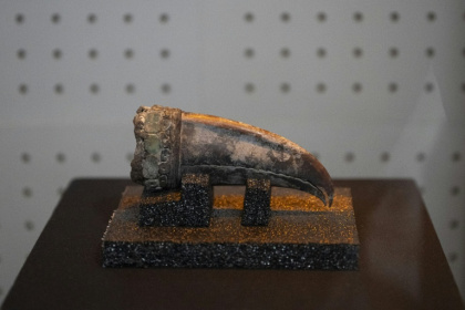 An ancient artifact found in a recently discovered burial site at the Aspero archaeological complex, belonging to the Caral civilization, during a press presentation at the Ministry of Culture in Lima on April 24, 2025