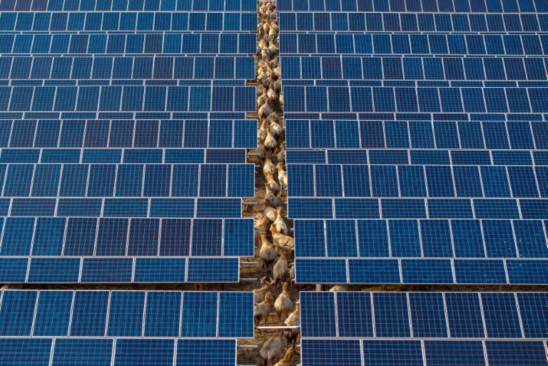 China first-quarter emissions fell despite rising power demand