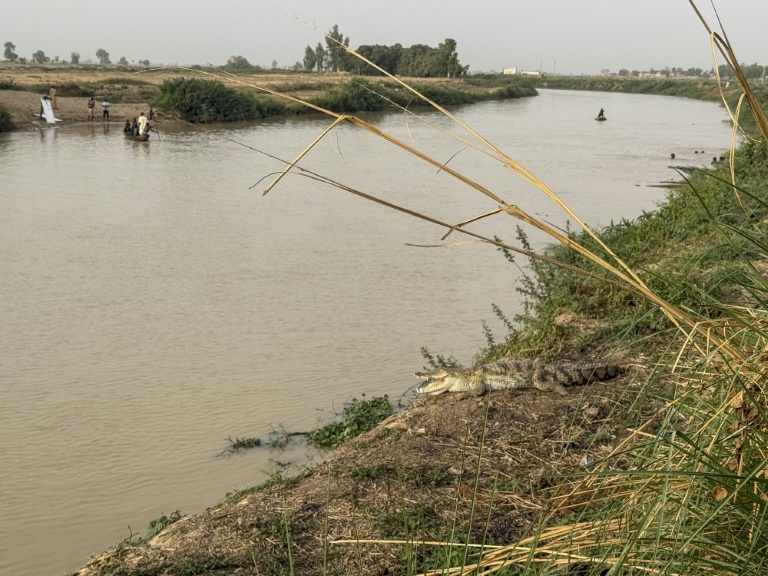 Nigeria fishing river reels from changing climate