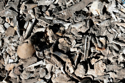Human bones and clothing were discovered at a ranch in western Mexico in March - ULISES RUIZ (AFP)
