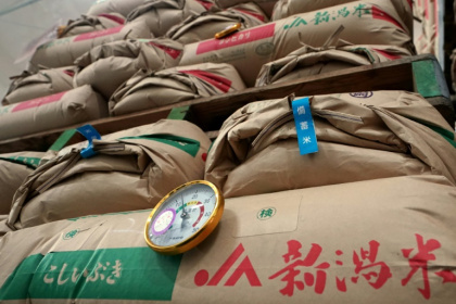 Factors behind Japan's rice shortfall include poor harvests due to hot weather in 2023 and panic-buying prompted by a "megaquake" warning last year - Kazuhiro NOGI (AFP)