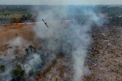 Illegal burning of the Amazon rainforest near Humaita, in the northern Brazilian state of Amazonas, in September 2024 - MICHAEL DANTAS (AFP)