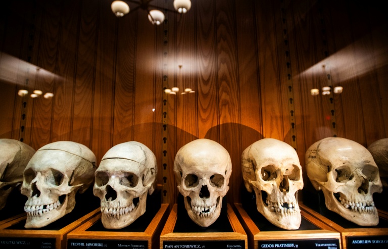 Unnamed skeletons? US museum at center of ethical debate