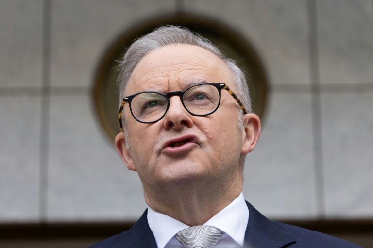 'Skibidi' and 'tradwife': social media words added to Cambridge dictionary