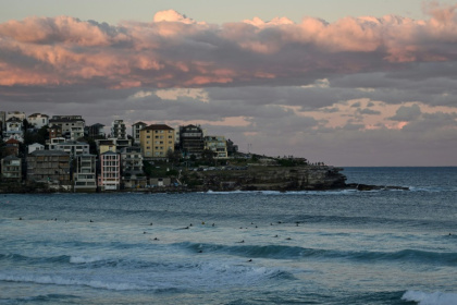Bull sharks are lingering off Sydney's beaches for longer periods each year as oceans warm, researchers say, predicting they may one day stay all year - SAEED KHAN (AFP)