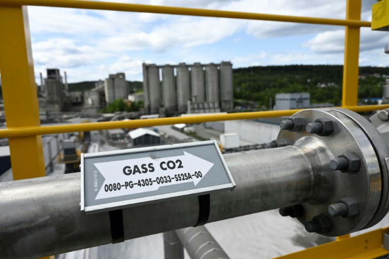 Treat carbon storage like 'scarce resource': scientists