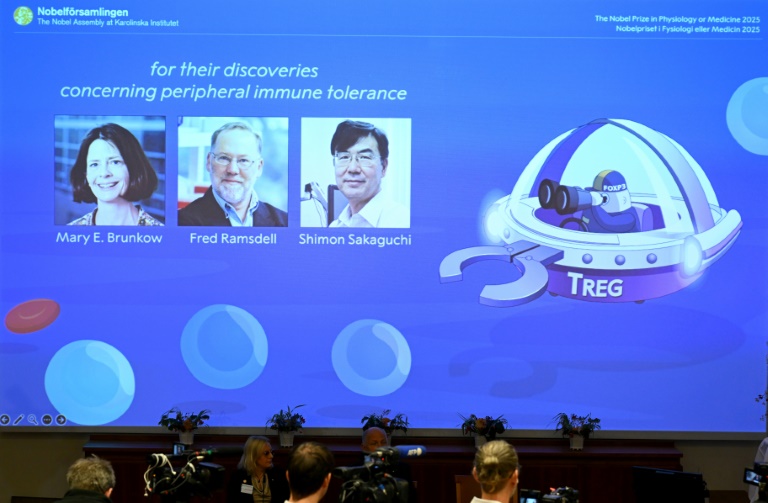 Medicine Nobel to trio who identified immune system's 'security guards'