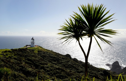 Scientists have found the oceans around New Zealand are warming, rising, and turning more acidic - William WEST (AFP)