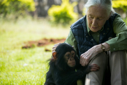 Renowned British primatologist Jane Goodall died at the age of 91 - SUMY SADURNI (AFP)