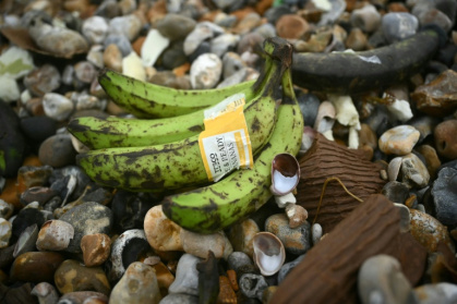 Hundreds of bunched up bananas destined for Tesco grocery stores washed ashore pebbled beaches in West Sussex - JUSTIN TALLIS (AFP)