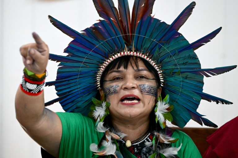 Indigenous Brazilians protest Amazon river dredging for grain exports