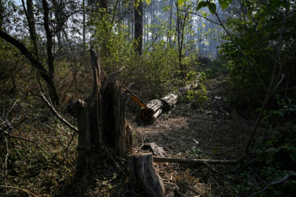 Major infrastructure development in Islamabad has meant large-scale clearance of trees and natural vegetation - Aamir QURESHI (AFP)