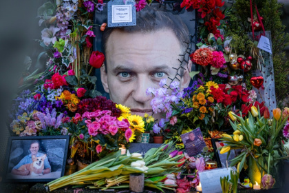 Five European countries said that Russian opposition leader Alexei Navalny was killed by a "rare toxin" from a dart frog - Laurens Niezen (AFP)