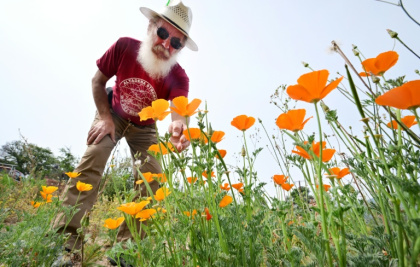 Rene Amy has sown around a quarter of a billion California poppy seeds around fire-scarred Altadena - Frederic J. BROWN (AFP)