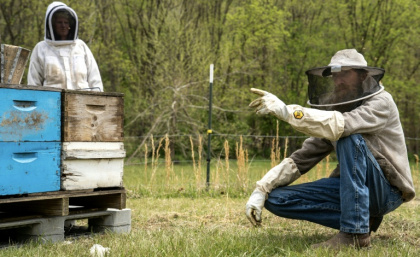 US beekeeper Roy Funkhouser (r) has a fraction of the beehives he should have due to catastrophic losses in recent years, not least by varroa mites - Paul Blake (AFP)