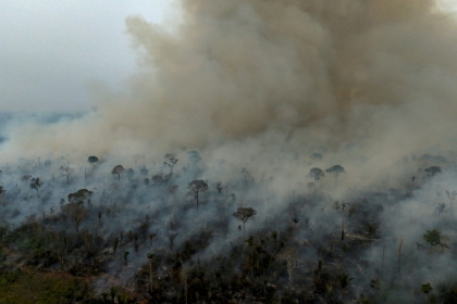 Flames engulfed Brazil's Amazon rainforest in 2024 - MICHAEL DANTAS (AFP)