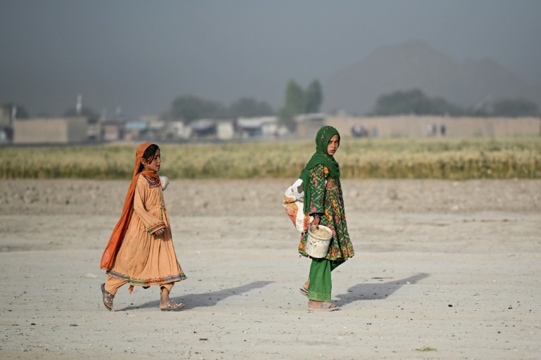 One million Afghan children suffering 'life-threatening' malnutrition: UN