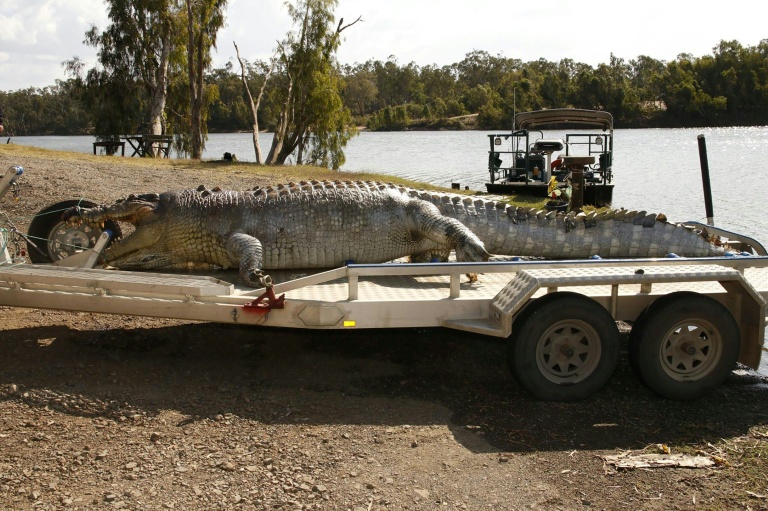 Croc-habitat gets green light for 2032 Olympic rowing