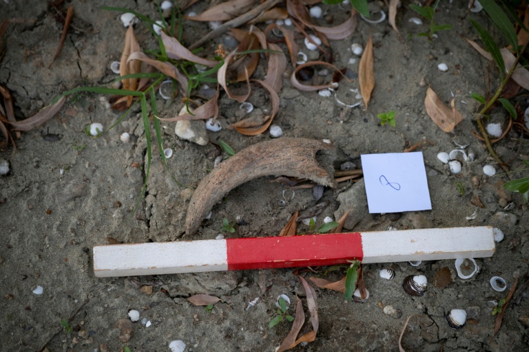 Drought-hit Danube gives way to fossil hunt in Bulgaria