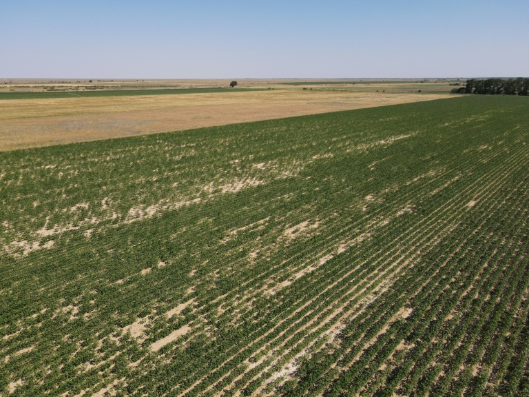 Parched and desperate for rain, Kazakhstan turns to cloud-seeding