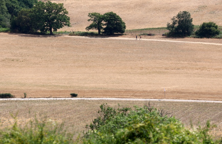 England, Wales had driest July on record: Met Office