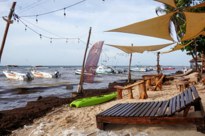 Sargassum covers the beach in Playa del Carmen on June 18, 2025 - Elizabeth Ruiz (AFP)
