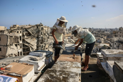 The war in Gaza obliterated the territory's beekeeping sector - Omar AL-QATTAA (AFP)