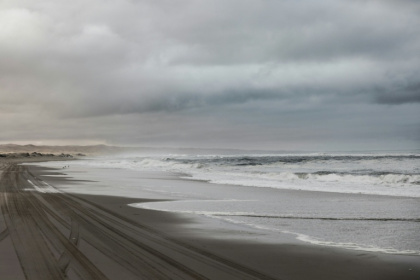 The planned phosphate dredging project would operate 120 kilometres off Namibia's Atlantic coastline - MARCO LONGARI (AFP)